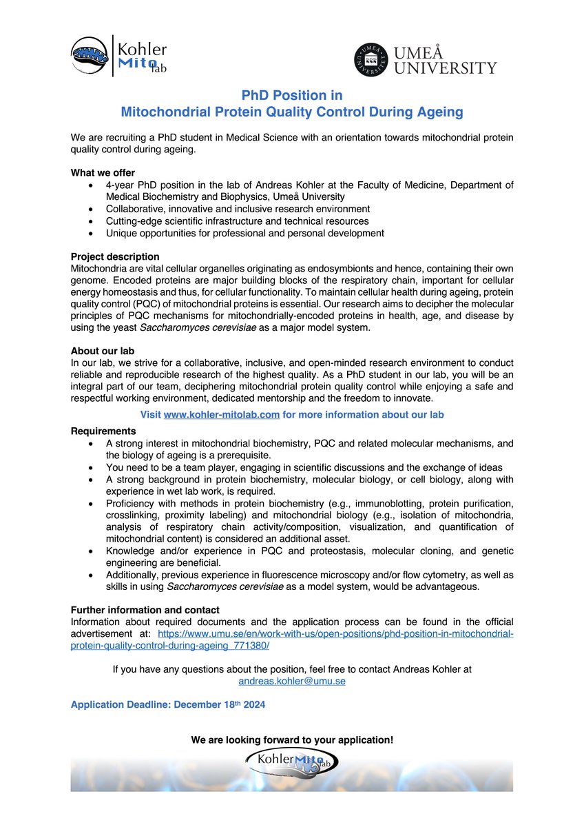 PhD Opportunity Alert!🚨Please RT!

The <a href="/AKohler_MitoLab/">Kohler Mito Lab</a> is hiring a #PhD student! Join us in investigating #MitochondrialProteostasis and its role in #Ageing.

More Information here 👉
kohler-mitolab.com/join

#PhDPosition #Mitochondria #AcademicChatter <a href="/mitojobs/">mitojobs</a>