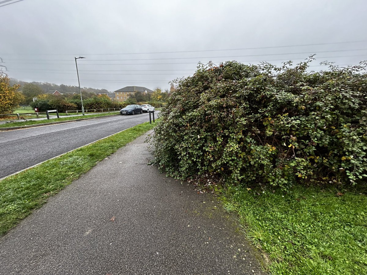 Cllr Laura Williams (@lauraforlabour) on Twitter photo You said, we did…
Thx 🙏 #GreatAshby folks, pointing out the overgrown bushes on Mendip, and thanks to <a href="/hertscc/">Hertfordshire County Council</a> responding so quickly to my request to fix it 🤩
As your District Cllrs, we can help navigate issues, so come and chat to us in the comm. centre on the 14th, 6-8pm You said, we did…
Thx 🙏 #GreatAshby folks, pointing out the overgrown bushes on Mendip, and thanks to <a href="/hertscc/">Hertfordshire County Council</a> responding so quickly to my request to fix it 🤩
As your District Cllrs, we can help navigate issues, so come and chat to us in the comm. centre on the 14th, 6-8pm