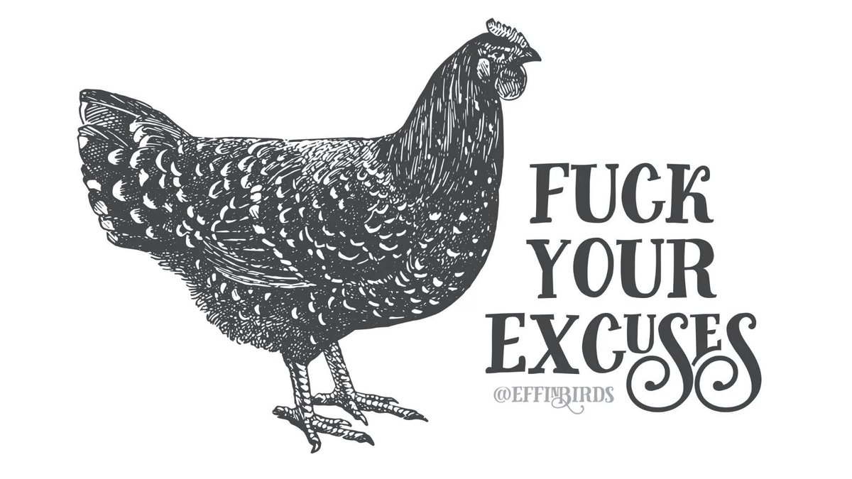 Effin' Birds (@effinbirds) on Twitter photo 
