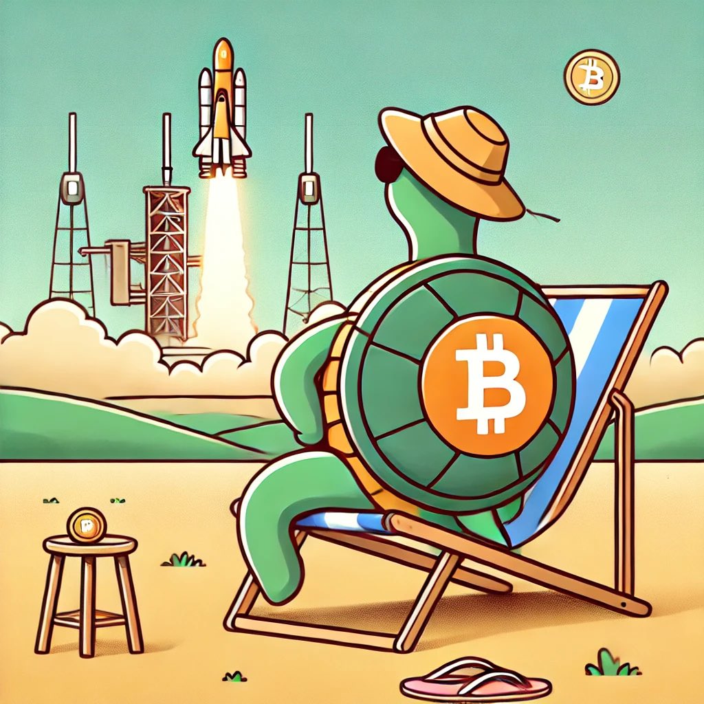 TurtleRune's tweet photo. Watching #Bitcoin take off knowing runes and $TRTL are next 🐢💎 https://t.co/HASi5VIGT7