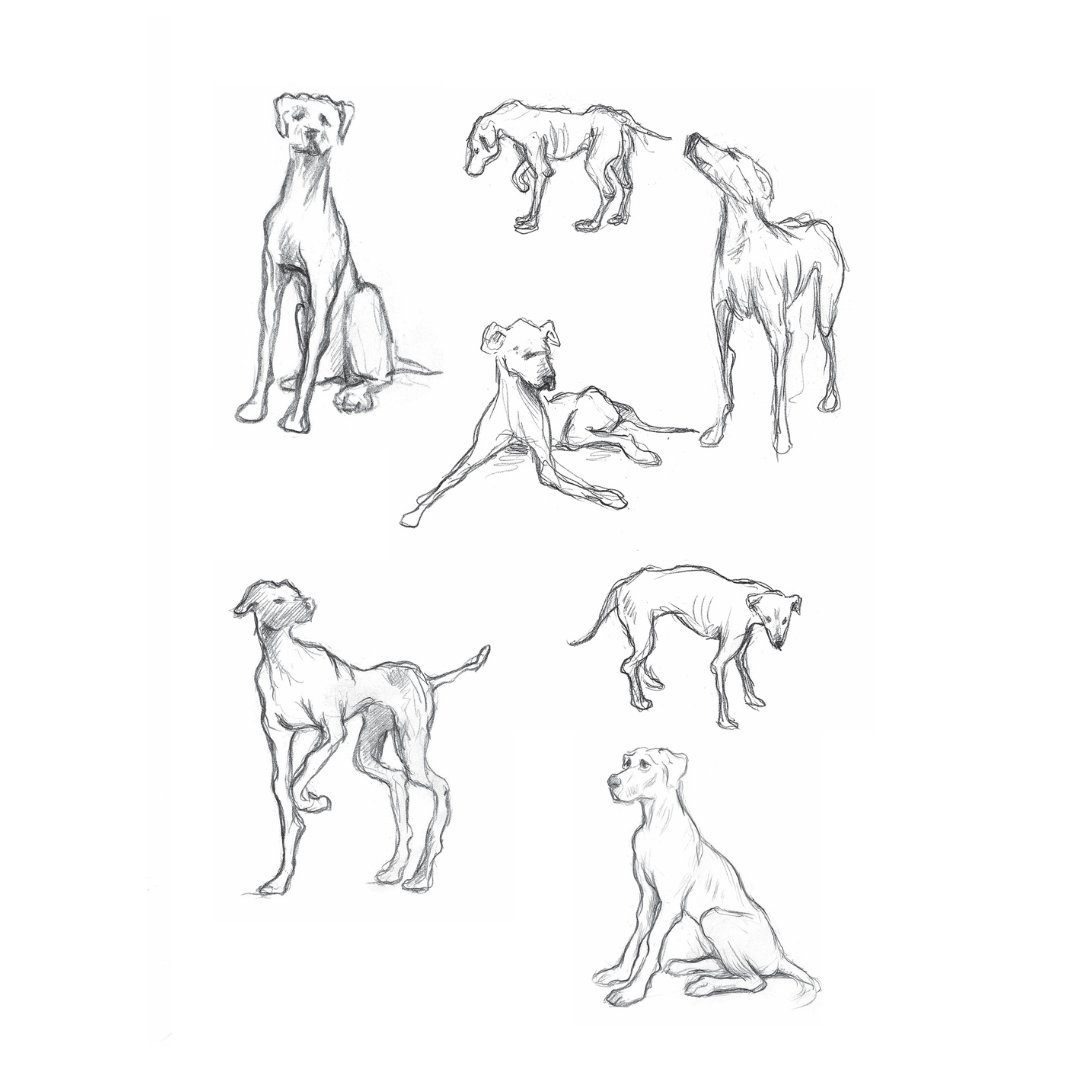 Éditions du Seuil tweet media