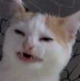 i think i need to go to the doctor, whenever i draw my fingers just get numb, i literally was only drawing for five minutes and i lost feeling in my thumb