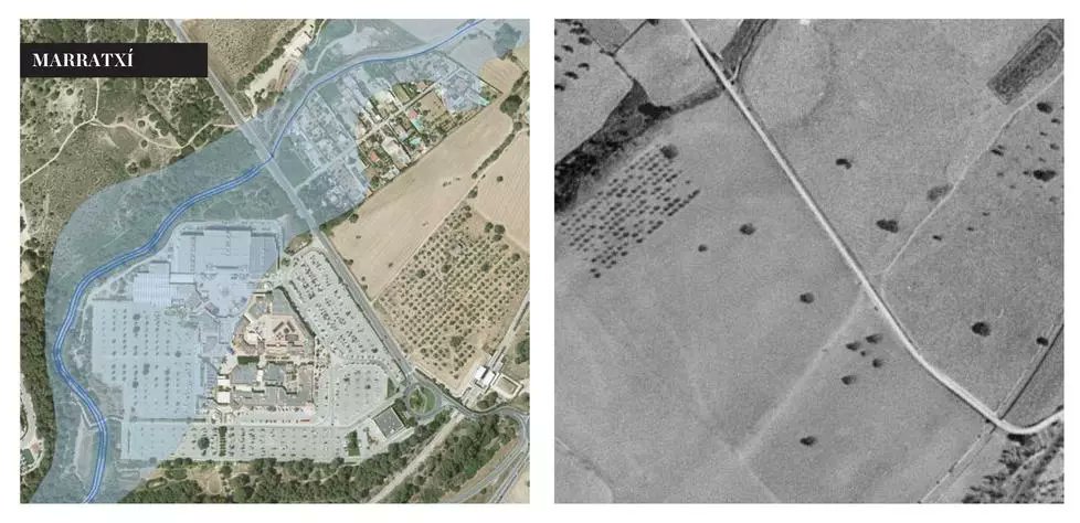 Jaume Adrover tweet media