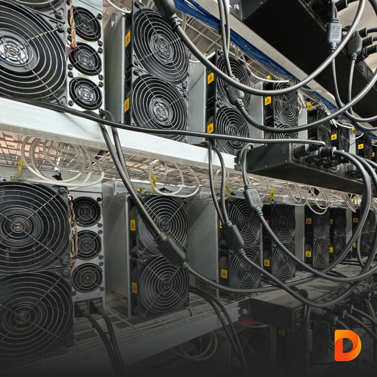 DeMi_Mining's tweet photo. Straight from Ethiopia – fresh photos of our data center!
#DeMiToken #Bitcoin #BitcoinCommunity #BTC #DataCenter #Ethiopia #TechUpdates #MiningPower #Crypto