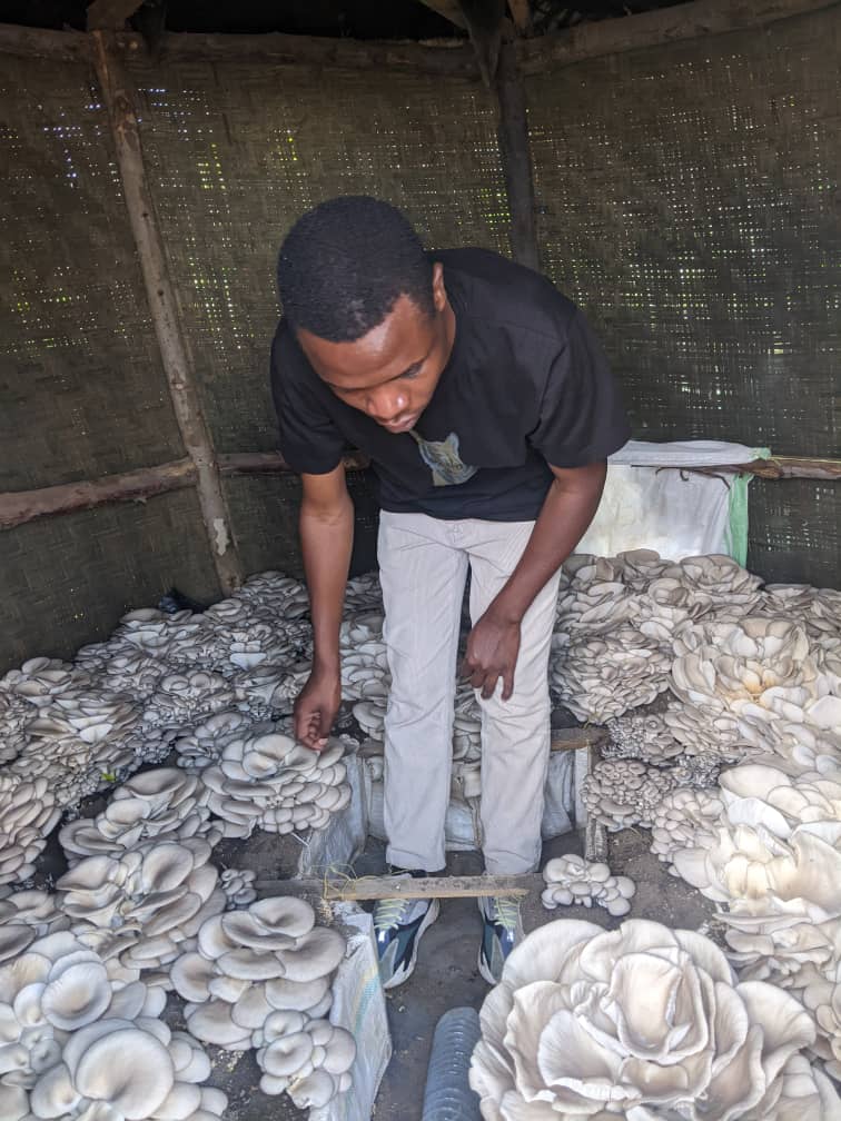 mfoodhubrwanda's tweet photo. To all the young agripreneurs out there: Stay committed, stay curious, and never underestimate the value of learning from those around you. Together, we can build a brighter future for agriculture!
@CorpsAfricaRda @ryaf_agribiz @Nsengaagro https://t.co/V6RcXYGm2y
