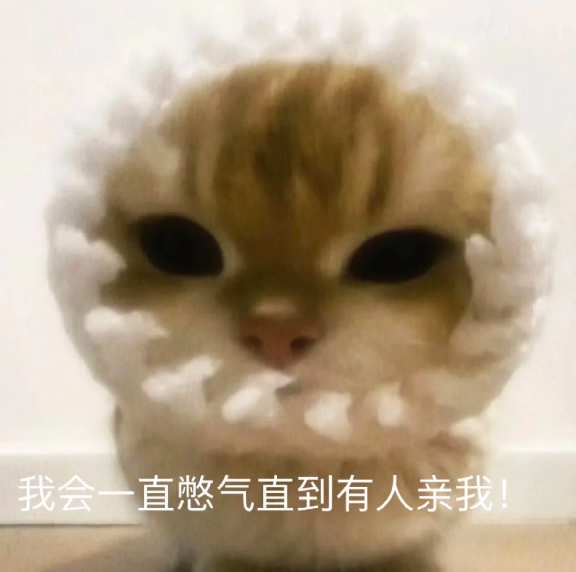 Dooodoki's tweet photo. 遇到喜欢的类型结果有女朋友了 https://t.co/8hzsbx6qpb