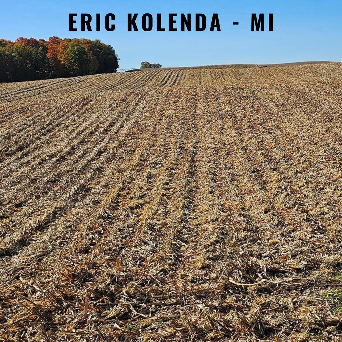 YetterFarmEquip's tweet photo. The #yetterfarmequip #stalkdevastators were at the top of Eric Kolenda's list of things he loved about this harvest! https://t.co/K4Bx1FUZyR