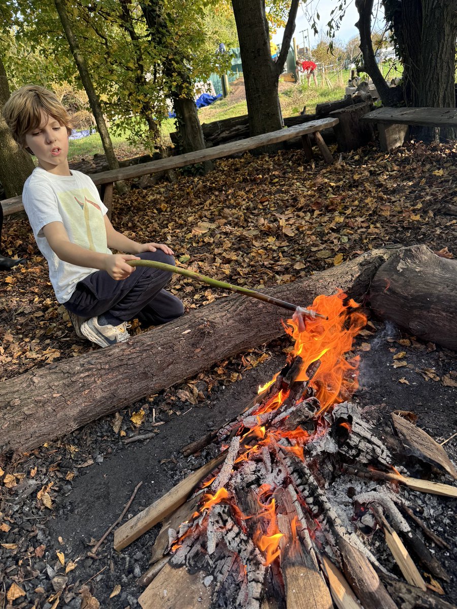 Huskies enjoying an afternoon in the forest making bacon sandwich’s on the fire 🔥