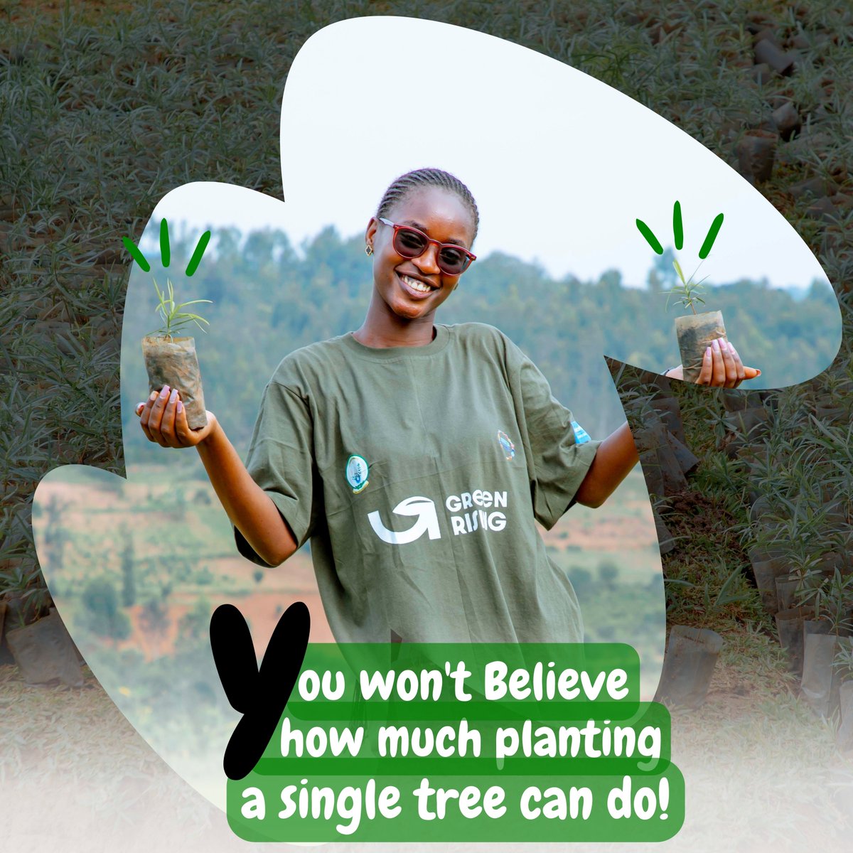 When it comes to fighting climate change and building a greener, healthier, and more sustainable tomorrow, planting a tree 🌱 is one of the simplest yet most impactful actions you can take in many plantings. The benefits go far beyond just absorbing carbon dioxide!

Did you know
