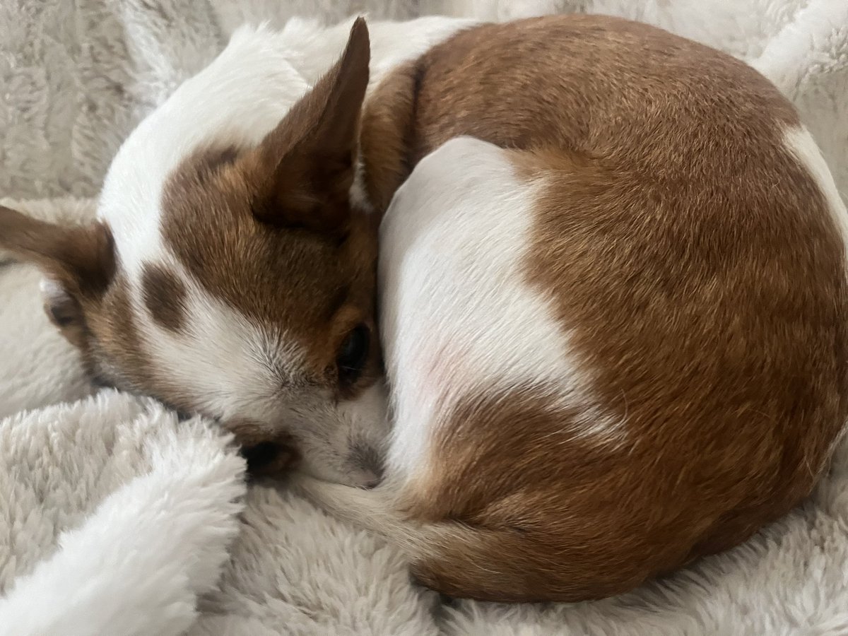 nobody you know tweet media