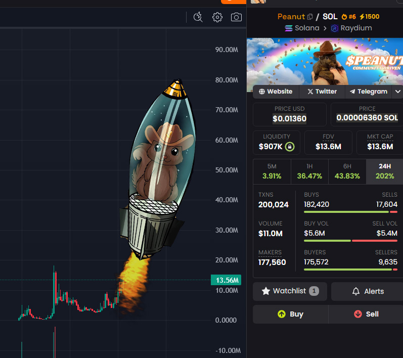 $peanut is ready for takeoff...
3...
2....
1........
🚀🚀🚀🚀 

<a href="/OGpeanut_sol/">Peanut the Squirrel</a>