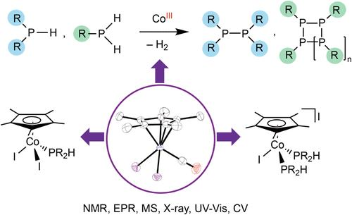 Inorganic Chemistry (@inorgchem) on Twitter photo Now in <a href="/InorgChem/">Inorganic Chemistry</a>! C-H activation catalyst Cp*CoI2(CO) also catalyzes dehydrocoupling of phosphines – now with redox chemistry in play! Exciting potential for catalyst design: go.acs.org/bDm
<a href="/lisarose_ltpb/">Lisa Rosenberg</a> @JinYang04529114 <a href="/mansaribhu/">Mursaleem Ansari</a> <a href="/D_A_Pantazis/">Dimitrios A. Pantazis</a> <a href="/Cam1stry/">Cam Zheng</a> Now in <a href="/InorgChem/">Inorganic Chemistry</a>! C-H activation catalyst Cp*CoI2(CO) also catalyzes dehydrocoupling of phosphines – now with redox chemistry in play! Exciting potential for catalyst design: go.acs.org/bDm
<a href="/lisarose_ltpb/">Lisa Rosenberg</a> @JinYang04529114 <a href="/mansaribhu/">Mursaleem Ansari</a> <a href="/D_A_Pantazis/">Dimitrios A. Pantazis</a> <a href="/Cam1stry/">Cam Zheng</a>