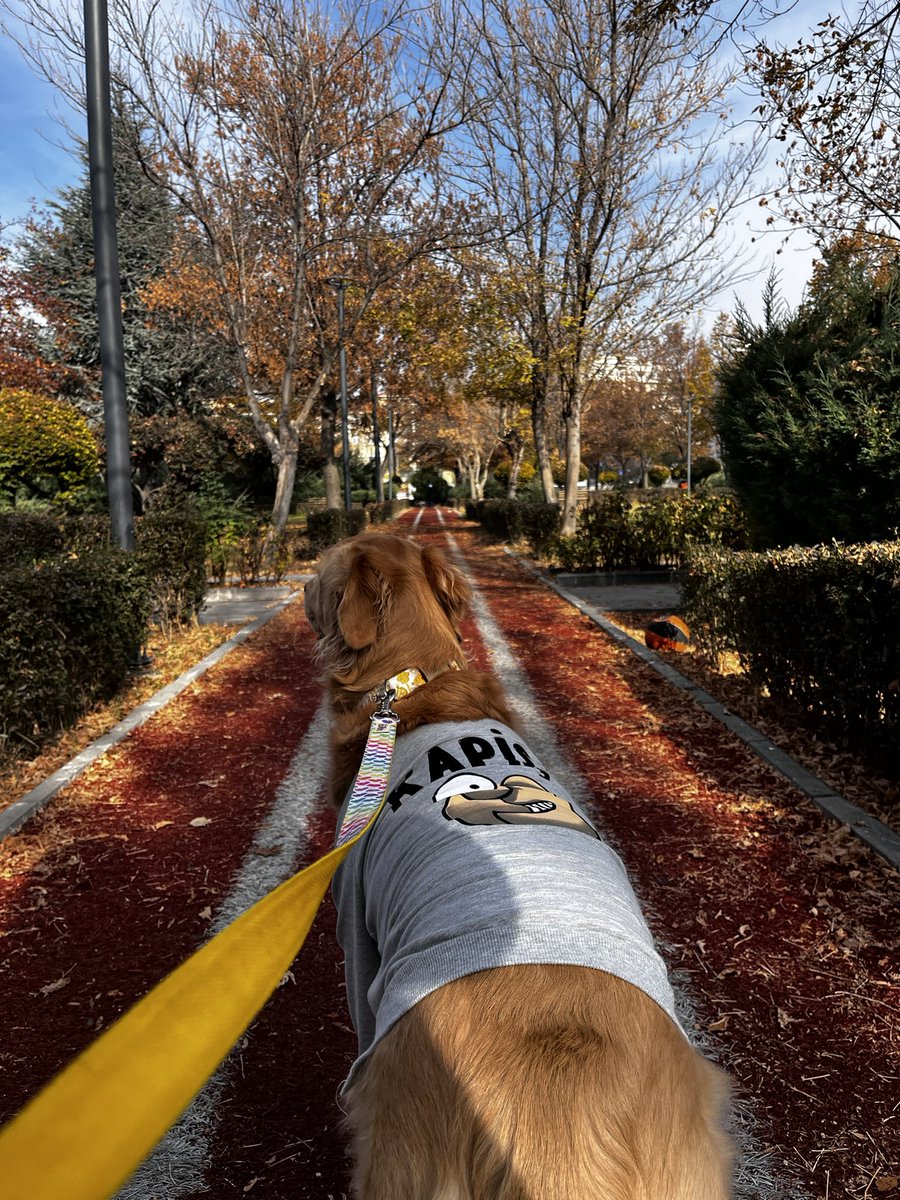 Bu havalar ve sen mükemmelsiniz ❤️