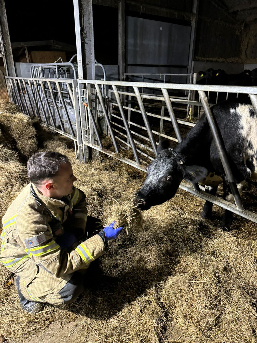 JafcoStu0344's tweet photo. Long night of #barn #fire #reliefs. But I made a new friend. #oncall #rdslife https://t.co/V8DQzdOGJp