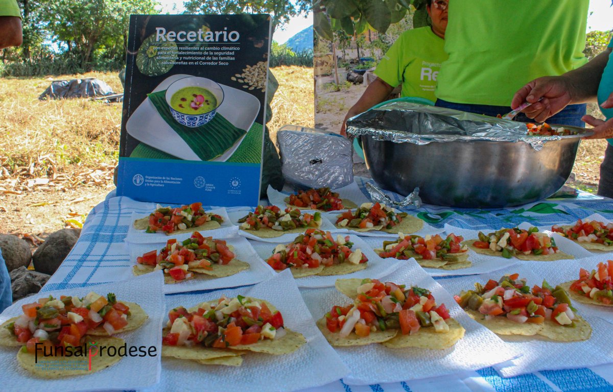 funsalprodese's tweet photo. 🍲 En la gira RECLIMA, productores disfrutaron de platillos sostenibles del recetario FAO, como atol de maicillo y ensalada de nopales. Sabores locales para fortalecer la seguridad alimentaria. #RECLIMA #SeguridadAlimentaria #CocinaResiliente https://t.co/cxrXWhj91s