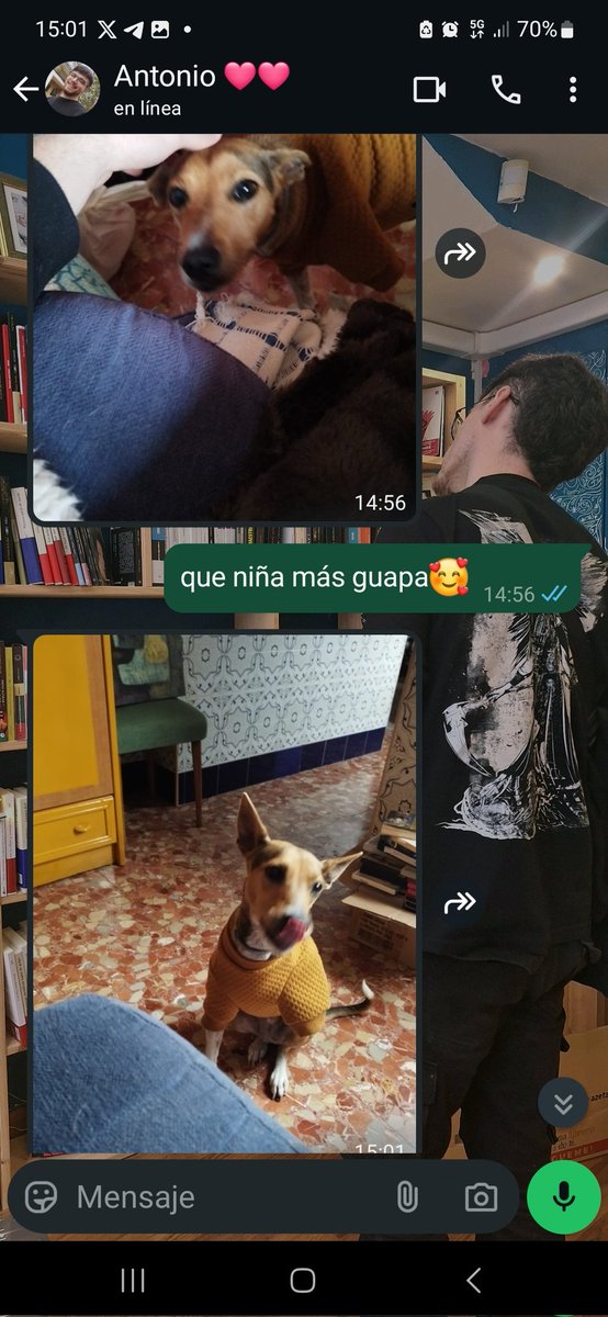 bealabroja's tweet photo. antonio me manda fotos de nuestra hija mientras trabajo fuera 😭 https://t.co/UZcmhBfQd9