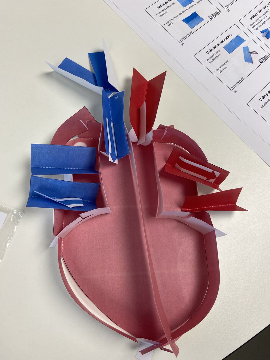 Now then......what did I teach in class today? <a href="/OrigamiCells/">Origami Organelles</a>