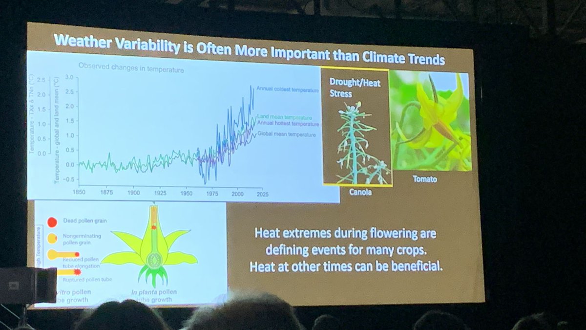 His presentation states that #abioticstress is the single most likely factor to cause #yieldlosses, more so than pests and disease globally. 
Status® is CE marked for its ability to protect plants from abiotic stress. Find out more here: intracrop.co.uk/status