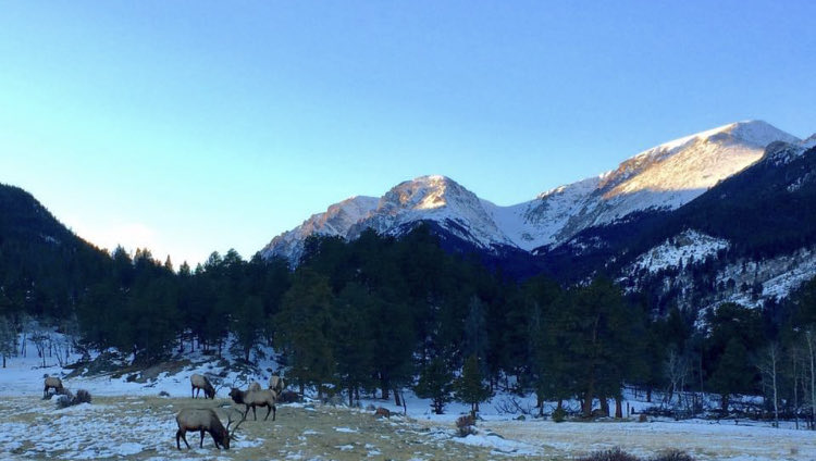 Good morning and happy Wednesday from Colorado!!