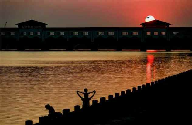 enchanted040's tweet image. Rosemary, the real MVP!