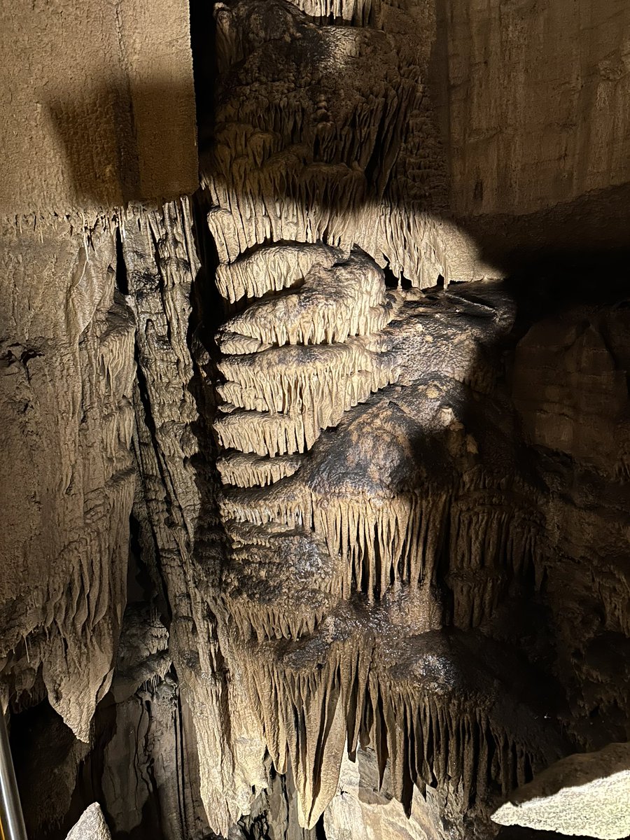 MammothCaveNP's tweet photo. They say there are no pretty formations inside The Mammoth Cave.  We beg to differ. https://t.co/Gwzs9xqUCX
