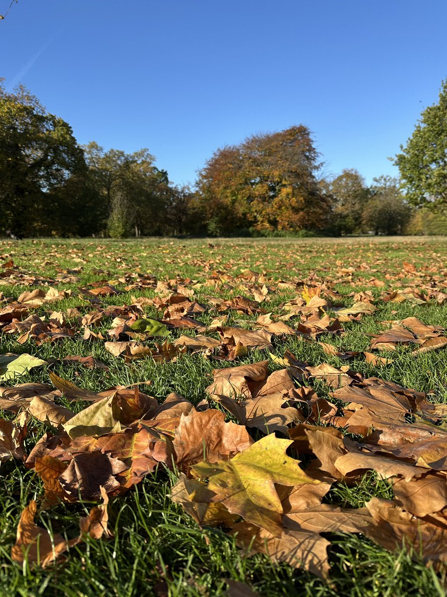 Hi all, I’m going to take a Twitter break and give it a go at 🧵s and 🦋.  Really hope to see more of the River Thames community over there soon…!! 

Last pic for now, of Kensington Gardens on this fine fall day.