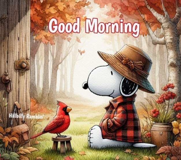 True fall morning in North Carolina. Daughter is doing well in her recovery.