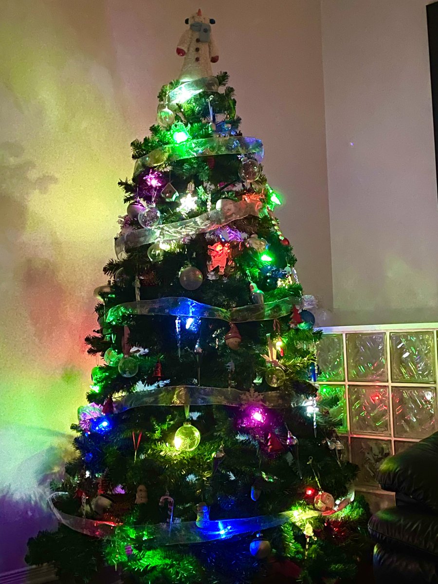 Dagenator's tweet photo. Our Christmas tree is up and spreading holiday cheer! #holidayseason #christmastree #festivevibes #merryandbright #decorations #Christmasdecorations #applights #merrychristmas #HolidayFun https://t.co/vmMbLjEPWz