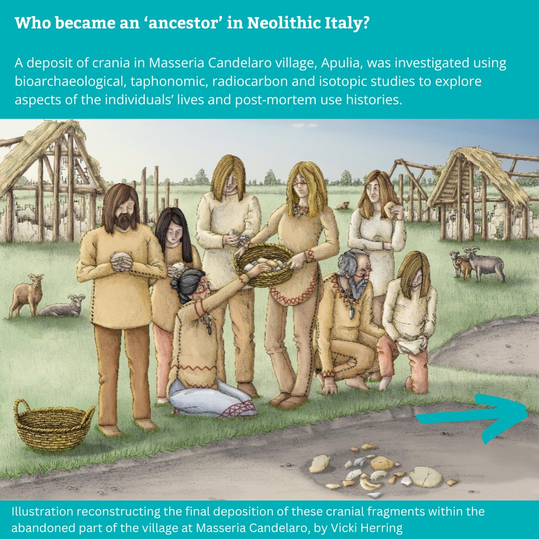 Cambridge Archaeology tweet media