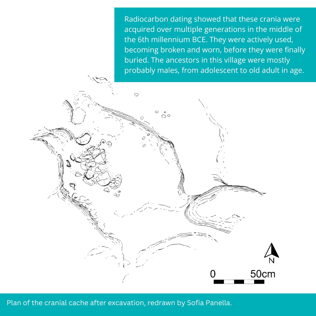Cambridge Archaeology tweet media