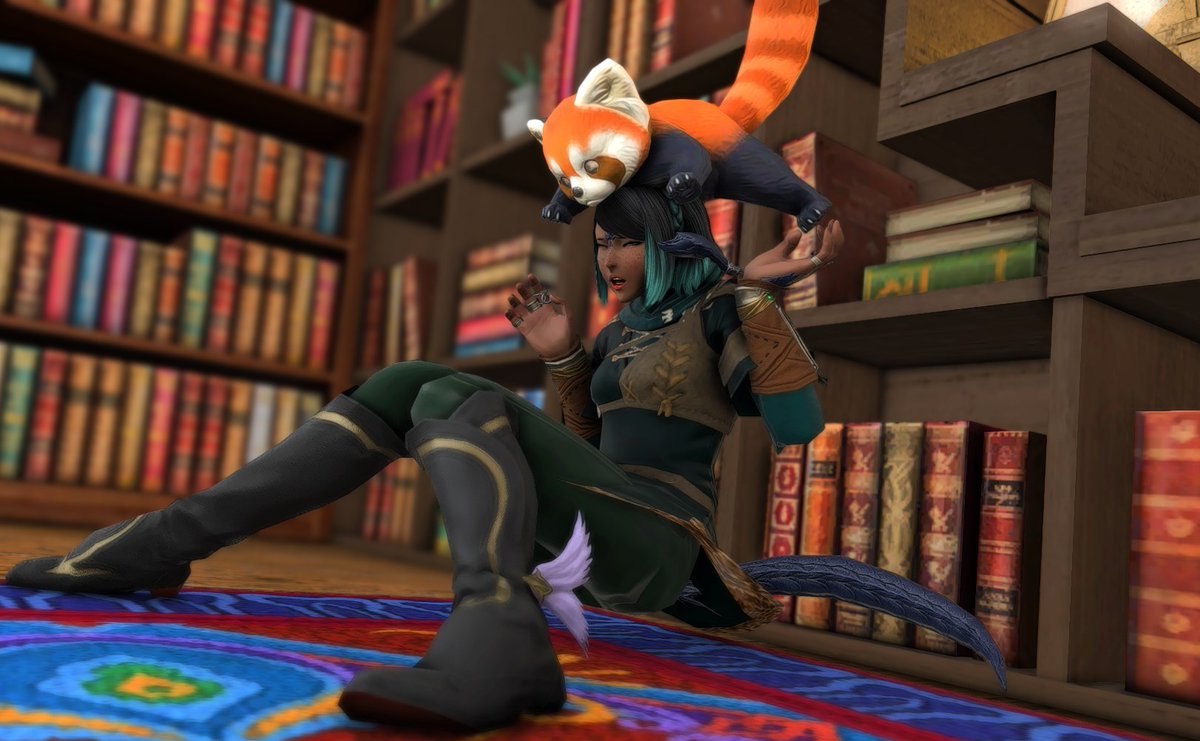 maxikha1's tweet photo. @StrayCatte_xiv Maxi loves her little noodle and hedgehog, but there's a special place for her buddy Moshu. Even if the little guy's prone to flopping onto heads https://t.co/EeXq57eO5j