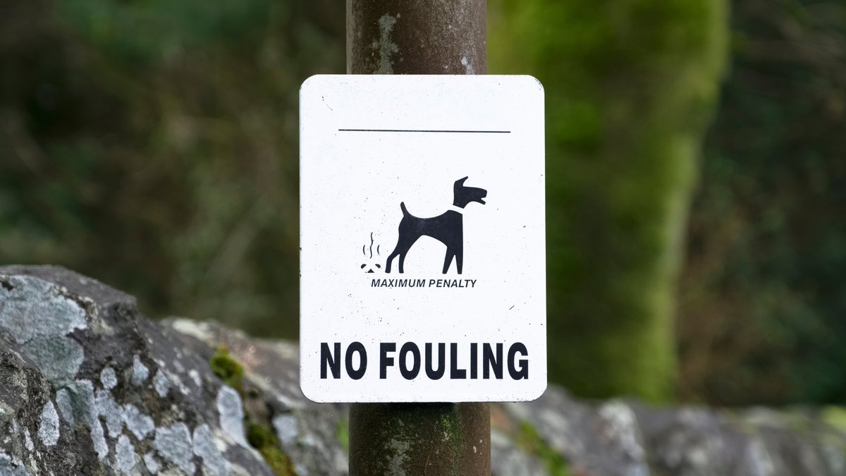 Folkestone & Hythe District Council tweet media