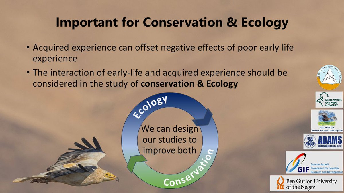 Ron Efrat tweet media