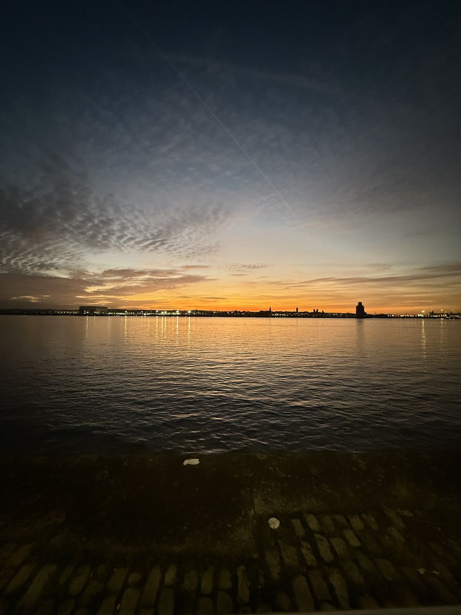 @aliaslam.bsky.social tweet media