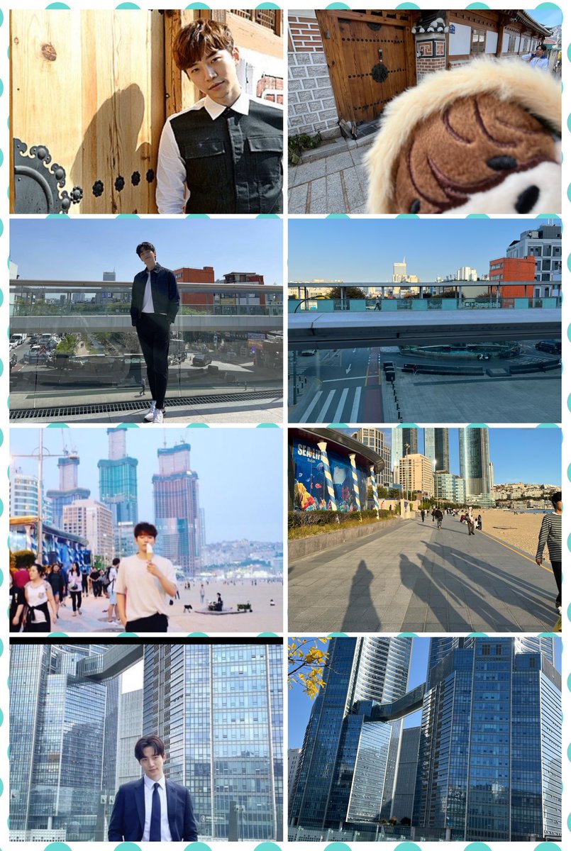 ジュノが歩いた道😂
ジュノが見た景色✨
どこも特別な場所になる😊