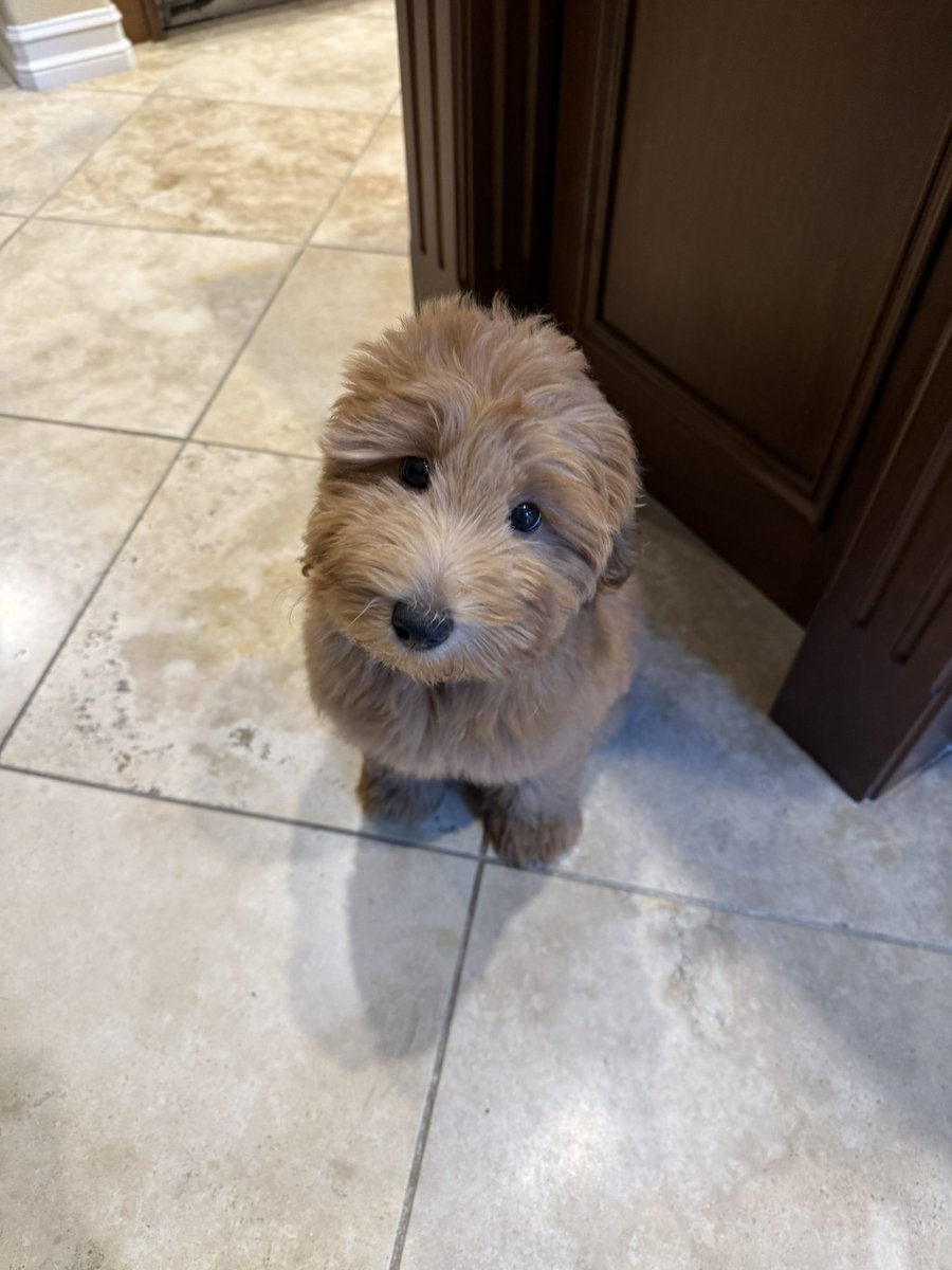 Jena Gares tweet media