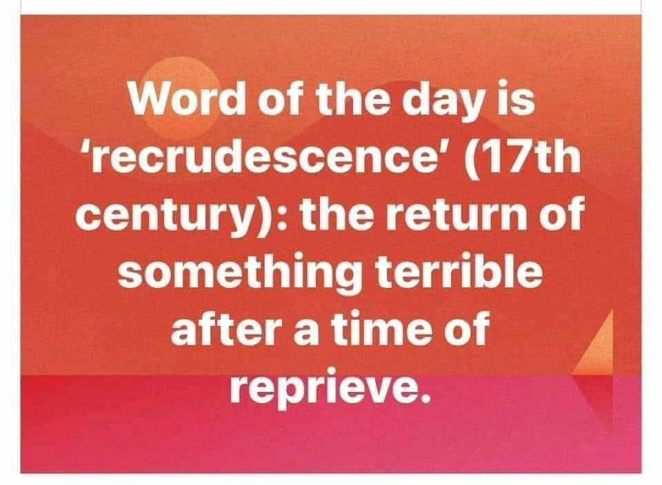 E2Grace's tweet photo. @DecodingFoxNews https://t.co/vRzlPZ814r