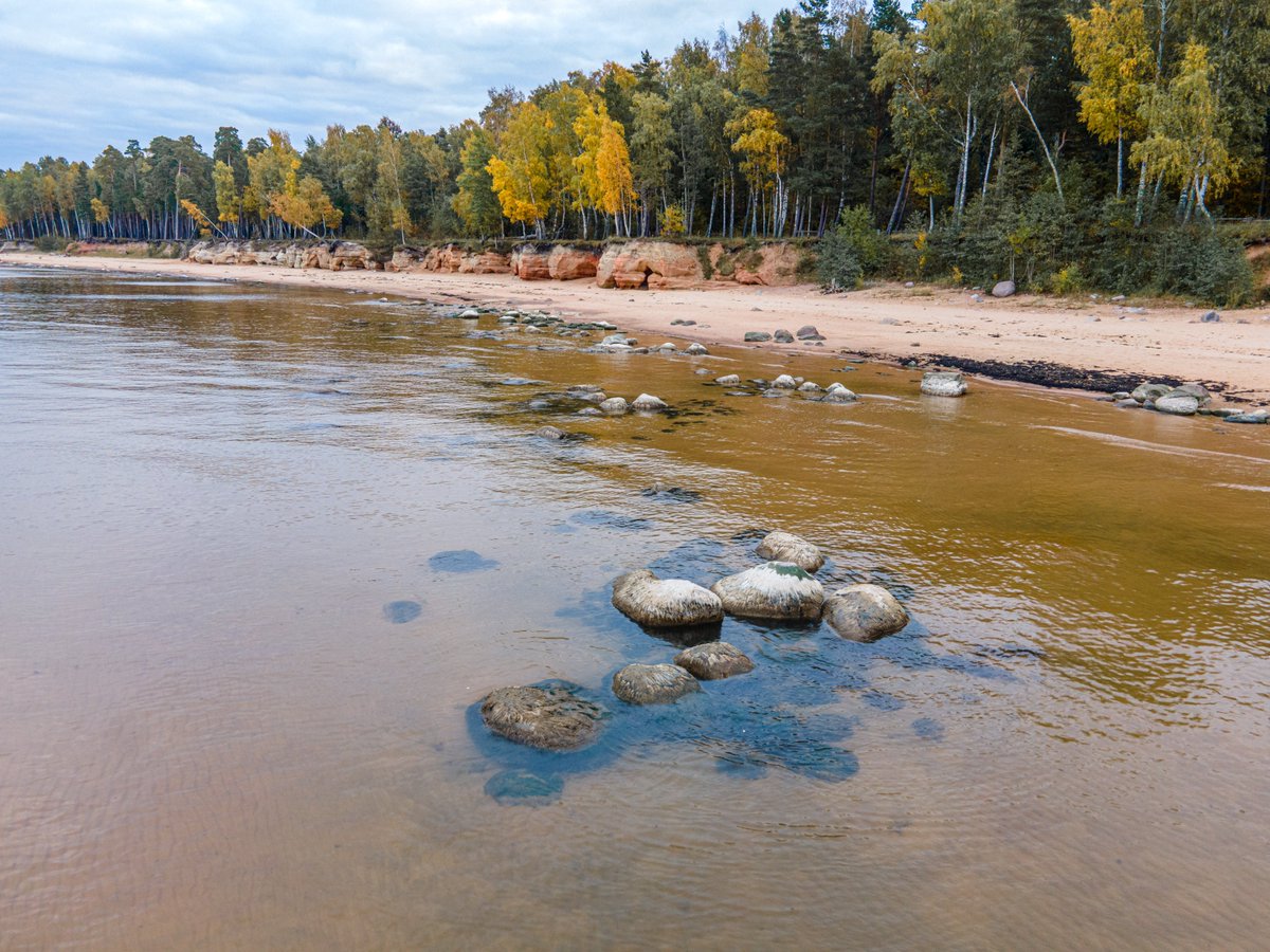 ProjektsReef's tweet image. REEF - Aicinām uz konferenci “Mūžīgā kustībā un mainībā esošā Baltijas jūra, piekraste un Salaca” reef.daba.gov.lv/public/lat/jau…