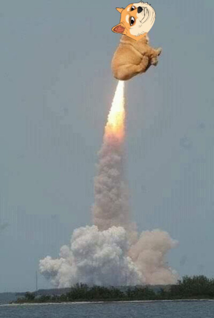 JohnLemonNFT's tweet photo. If NFTs are coming back, Doge is the hottest topic in crypto and….

Doge Pound the biggest Doge Nft in the world 

Its time 🚀 https://t.co/pg6pylwRj5