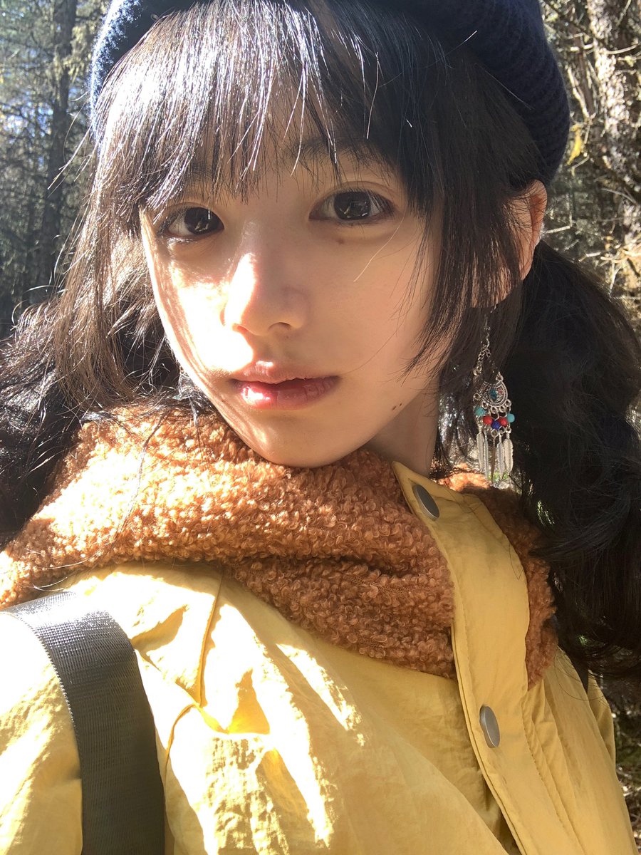 卧龙猫 tweet media