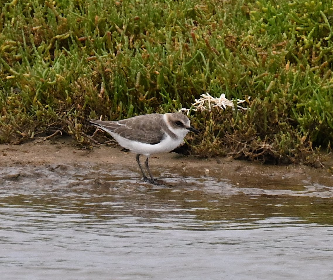 Roger Hackney tweet media