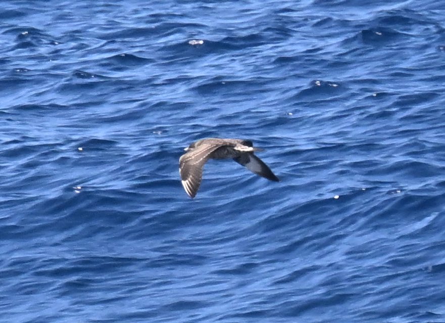 Roger Hackney tweet media