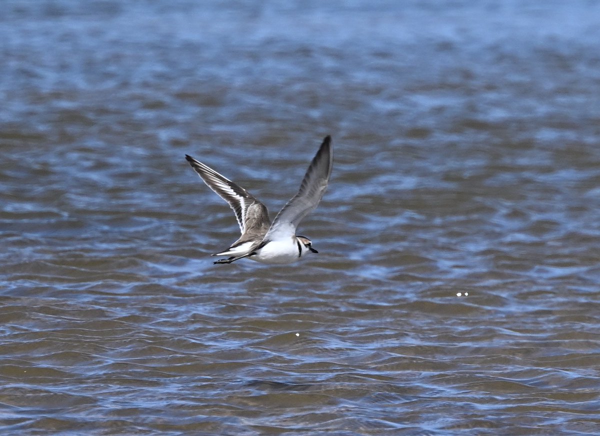 Roger Hackney tweet media