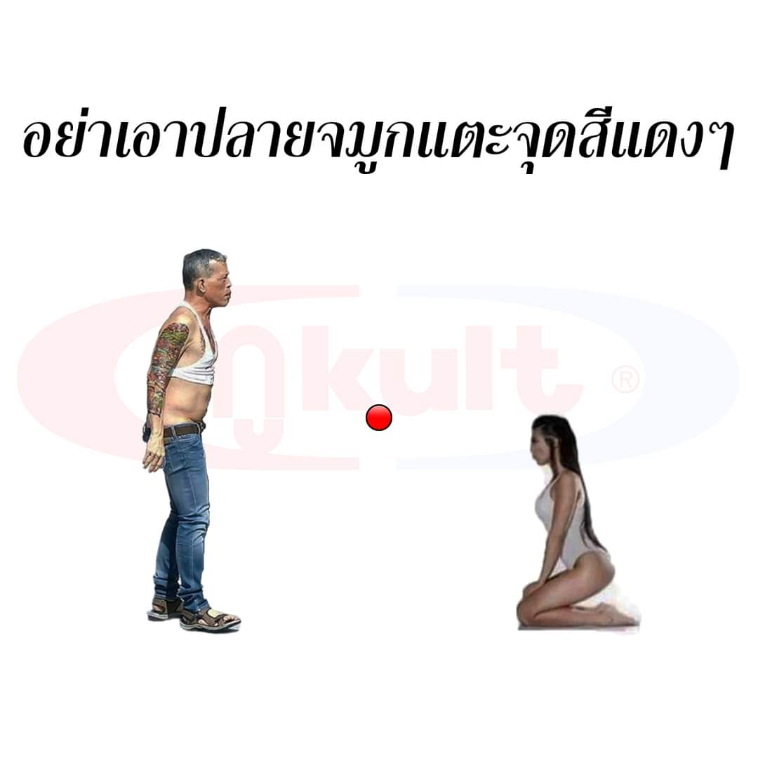 กูKult tweet media