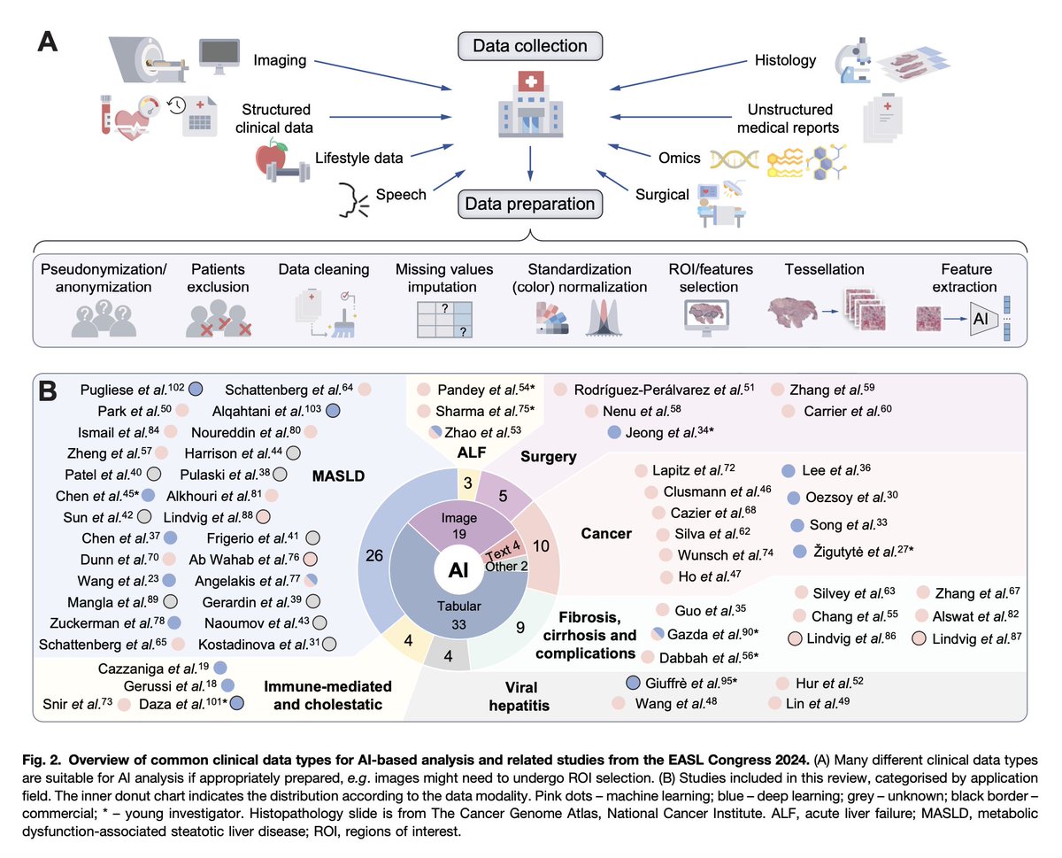 Happy to share a new review article led by Laura <a href="/zigutyte/">Laura Žigutytė</a> from @Katherlab. We surveyed all contributions at Europe’s largest conference on hepatology, <a href="/EASLnews/">EASLnews</a> 2024. The liver research field is already integrating AI techniques for diagnostics, evaluating treatment