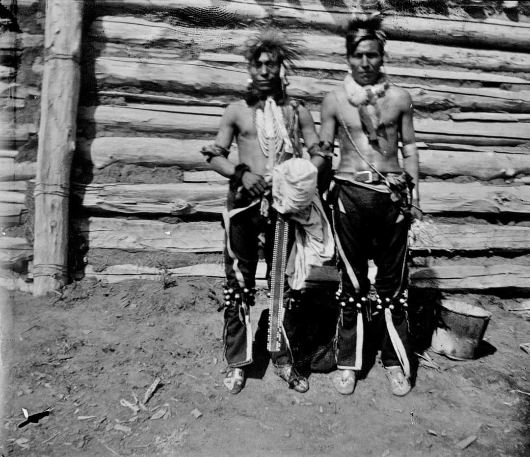 Native American Power🇺🇲 tweet media