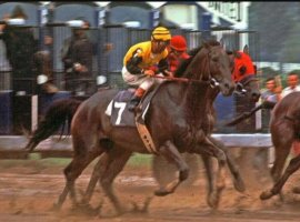 HORSERACING1002's tweet photo. FOREGO🇺🇸1970
(FORLI - LADY GOLCONDA BY HASTY ROAD)#Forego
B/O Lazy F. Ranch (Ky) Apr 30, 1970. Gelding.
T/ Frank Y. Whiteley Jr.
57-34-9-7--$1,938,957
1974 Champion 🏆 older horse, Champion Sprinter, Horse of the year.
1975 Champion 🏆 Older horse, Horse of the year.
1976 Champion 🏆 older horse, Horse of the year.
1977 Champion 🏆 older horse.
Roamer H G2, Discovery H G3, Widener H G1(2), Brooklyn H G1(3), Woodward S G1(4), Jockey Club Gold Cup G1, Gulfstream Park H G2, Carter H G2(2), Vosburgh H G2, Donn H G3, Suburban H G1, Seminole H G2, Metropolitan H G1(2), Marlboro Cup G1, Nassau County H G3(2), Whitney H G1,
2nd Jerome H G2, Hutchenson S G3, Metropolitan H G1, Nassau County H G3, Marlboro Cup G1, Suburban H G1(2), Brooklyn H G1,
3rd Withers S G2, Suburban H G1, Marlboro Cup G1, Metropolitan H G1, Amory L. Haskell H G1,
ETR Belmont 8f 1,33,⅗.
NTR Belmont 10f 1,59,⅘.
Pensioned at the Kentucky Horse Park.
Died Aug 27, 1997.
