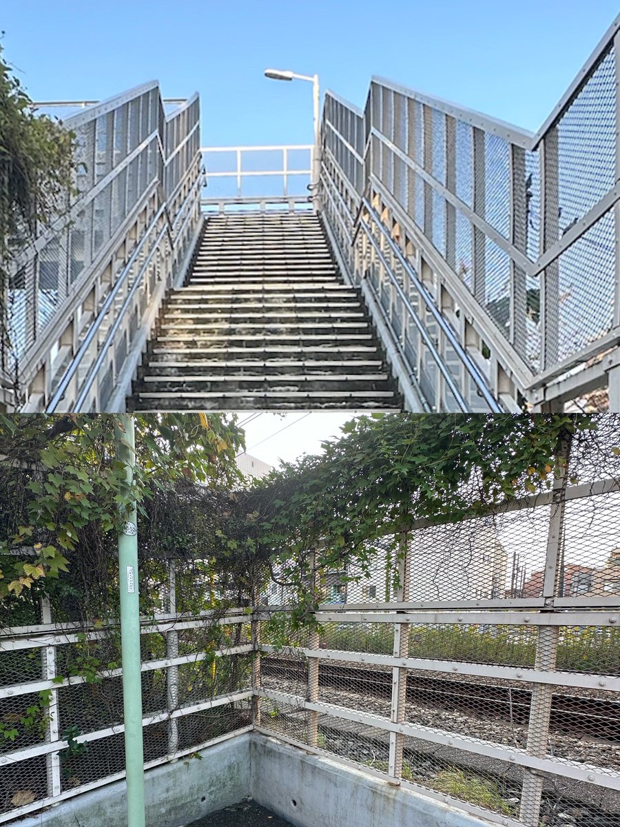 love_ken_to's tweet image. やっと晴れた日に見に行けた😊
ヒトゴトロケ地巡り

#中島健人のヒトゴト