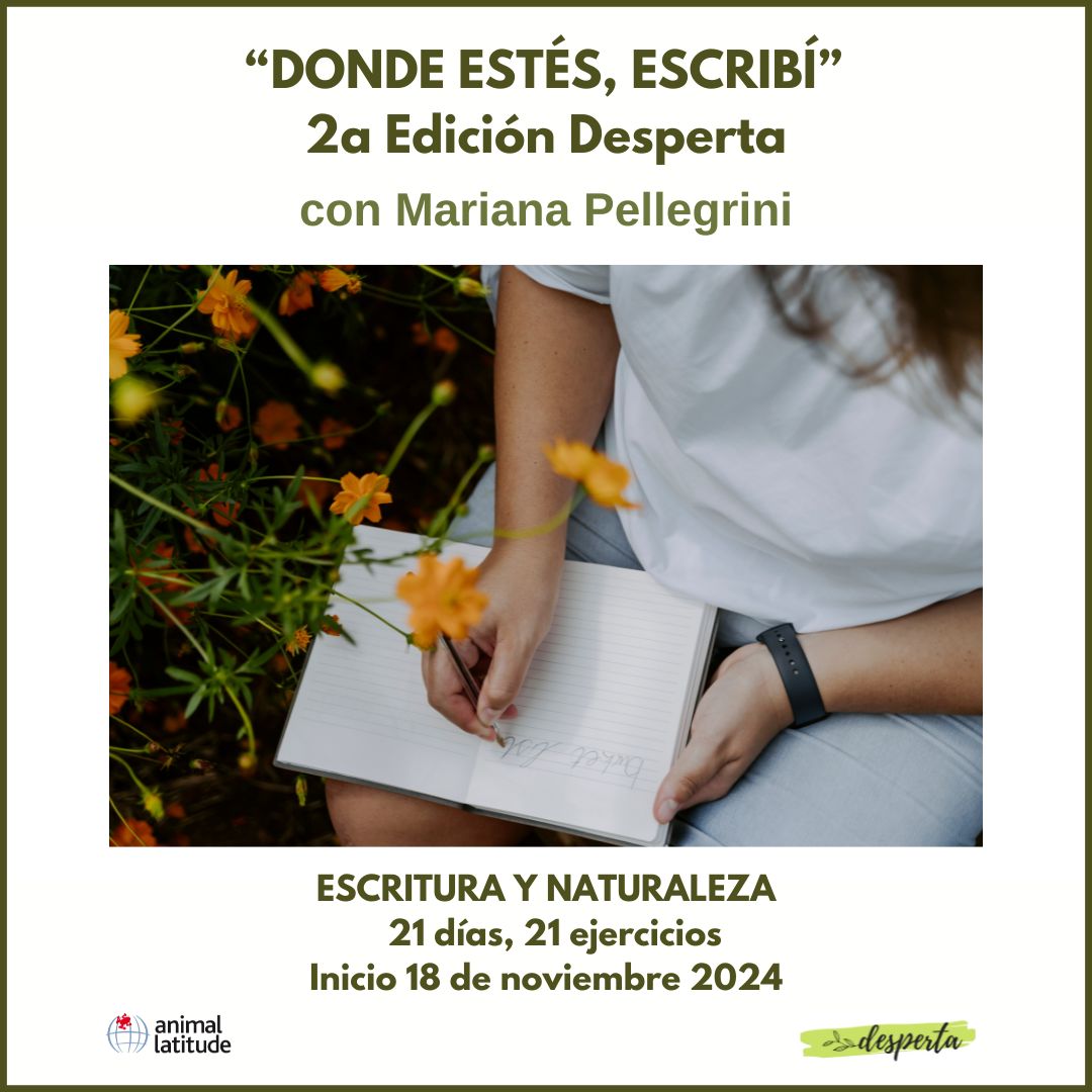 ✍️🌿Taller de escritura y naturaleza en línea (whatsapp) por Mariana Pellegrini, escritora de la Patagonia Argentina 
🟢Conecta con la naturaleza
🟢Recibirás 21 ejercicios
🟢Participa a tu ritmo, sin horarios
+info tuit.cat/78dQA
<a href="/animallatitude/">associació animal latitude</a> #desperta #artinatura