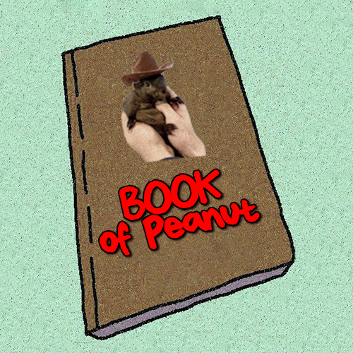 bookofpeanut's tweet photo. Book of Peanut $BOP 

CA:27u3VzbSVkEAs85KG2tZB7167yNZeh4fMEfBPa7qjbop https://t.co/oEpL2lepiN